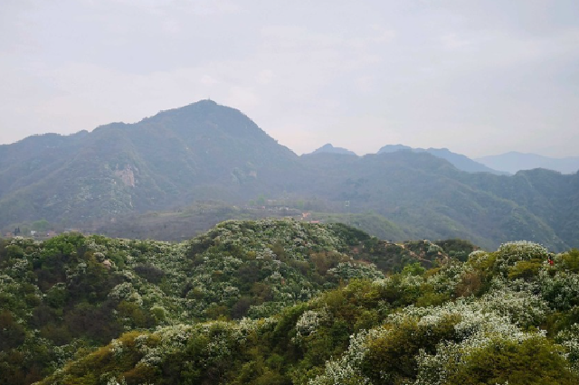 15日16時起藍田縣秦嶺山區所有峪口實施封閉管理