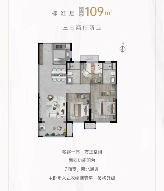 龙湖星河学樘府109㎡户型图