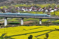 #三月来汉中看油菜花#