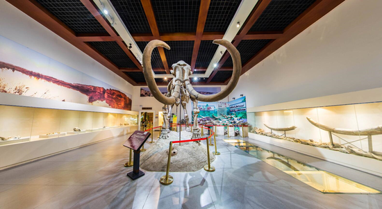 国际博物馆日 走进高陵奇石博物馆领略中华奇石的独特神韵新浪陕西