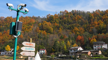 冬日秦岭石泉草池湾色彩斑斓