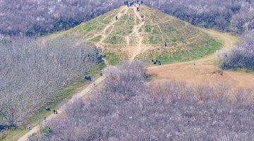 西安明秦王墓畔山桃吐蕊