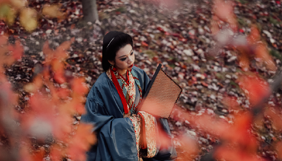 寒风起,古韵浓,在火红的枫叶林中身着汉服,像穿越了千年时光。