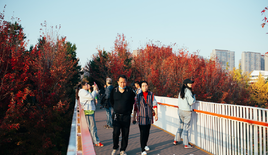 雁南公园的出现,让人口稠密的城市环境一角,重新焕发生机成为“城市绿肺”。