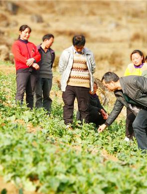 陕西宁强人勤春来早 春耕备耕忙