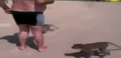 421_203gif 动态图 动图