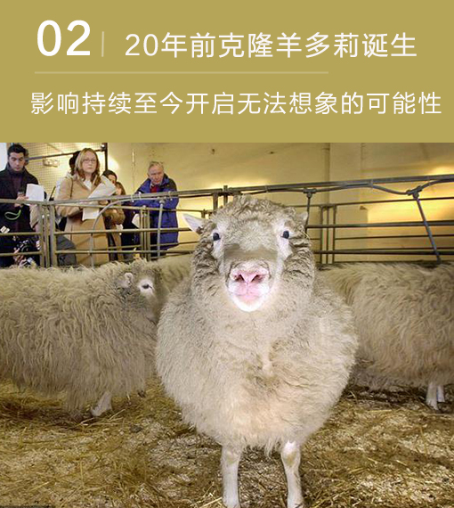 20年前克隆羊多莉诞生:影响持续至今开启无法想象的可能性