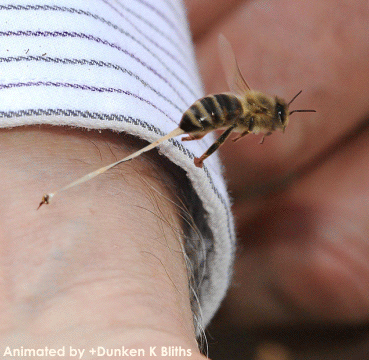 图160M2战略轰炸机升级内容 与图160为何如此珍贵