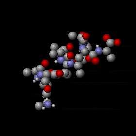 一个 α 螺旋肽分子的热运动。这种不停的运动是既随机又复杂的，而且任一原子的能量起伏都可以很大。然而，使用能量均分定理可以计算出每个原子的平均动能，以及许多振动态的平均势能。灰色、红色及蓝色的球分别代表碳、氧及氮原子，而小白球则代表氢原子。图片来自 wikipedia