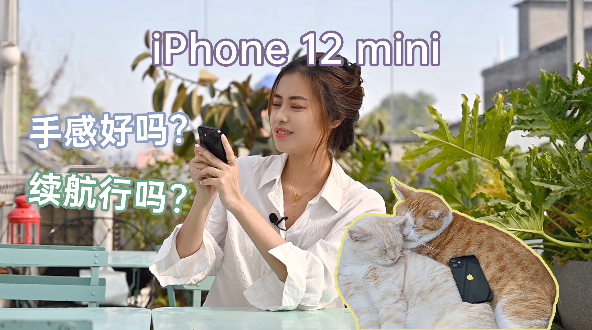 Iphone 12 Mini 12 Pro Max评测 大的比预期大小的没想象小 手机新浪网 Iphone 12 Mini 12 Pro Max评测 大的比预期大小的没想象小 手机新浪网