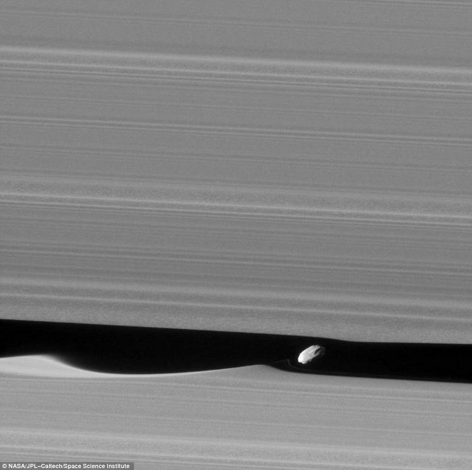 卡西尼号拍土卫十八似奇特飞碟有突出赤道脊