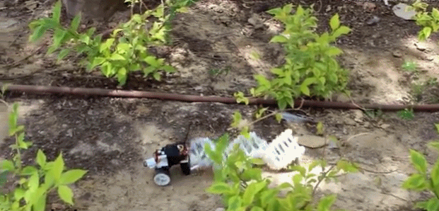 3D打印虫形机器人：未来或将帮助诊断消化道疾病