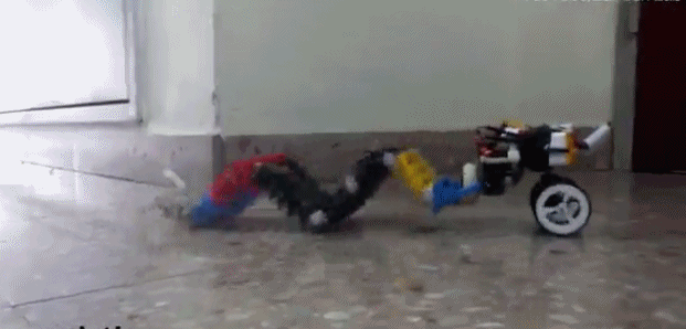 3D打印虫形机器人：未来或将帮助诊断消化道疾病