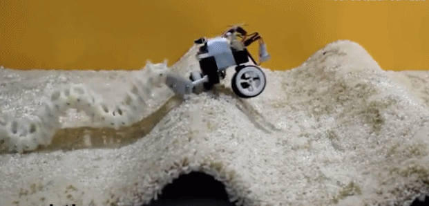 3D打印虫形机器人：未来或将帮助诊断消化道疾病