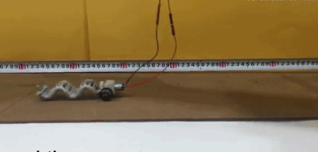 3D打印虫形机器人：未来或将帮助诊断消化道疾病