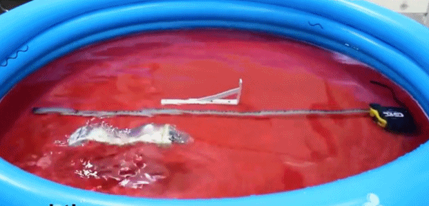 3D打印虫形机器人：未来或将帮助诊断消化道疾病