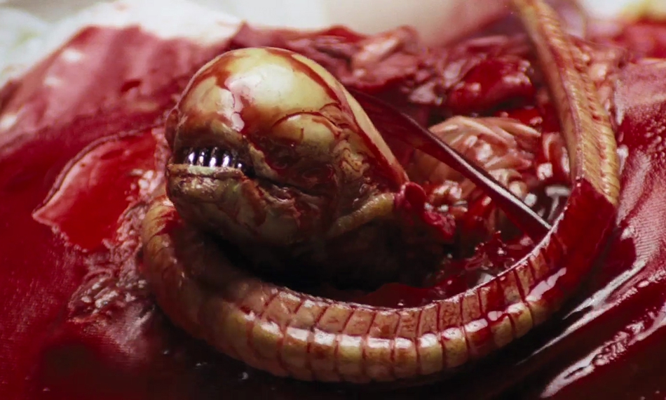 盘点《异形》系列电影九大恐怖外星生物:抱脸异形_高清图集_新浪网