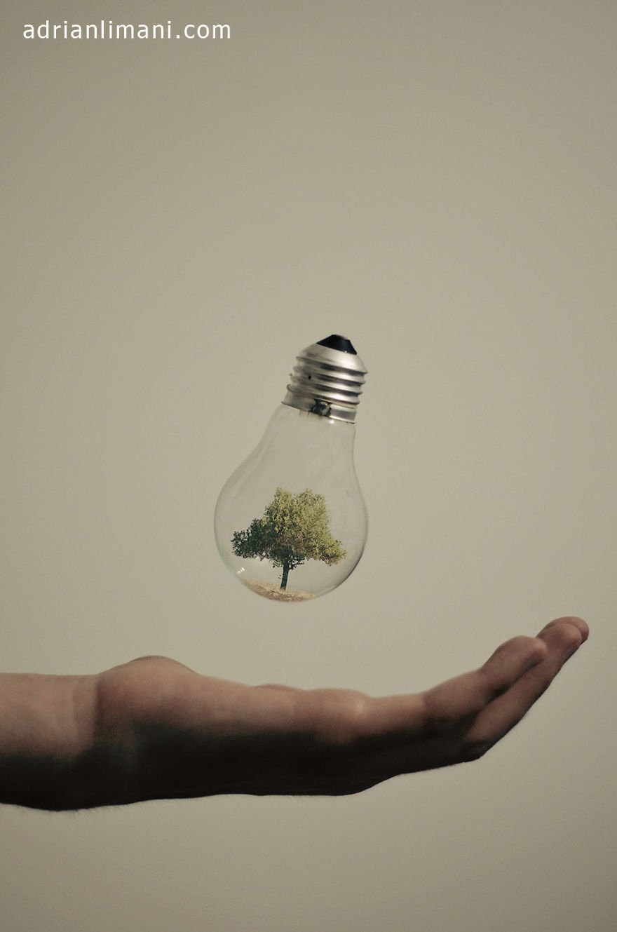 微型的景观创意 灯泡里的生活
