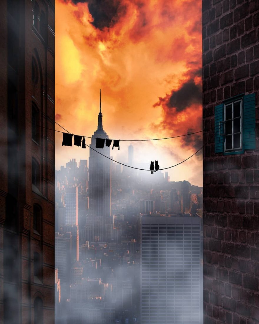 奇幻的梦境遭遇 将超现实梦境搬进日常生活