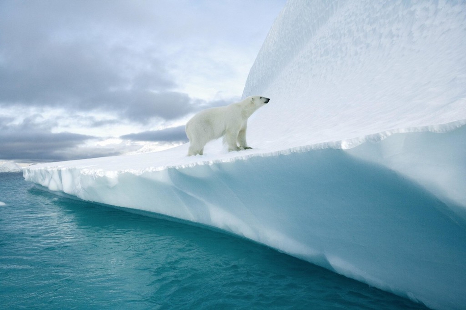 北极圈上的童话之夏_高清图集_新浪网