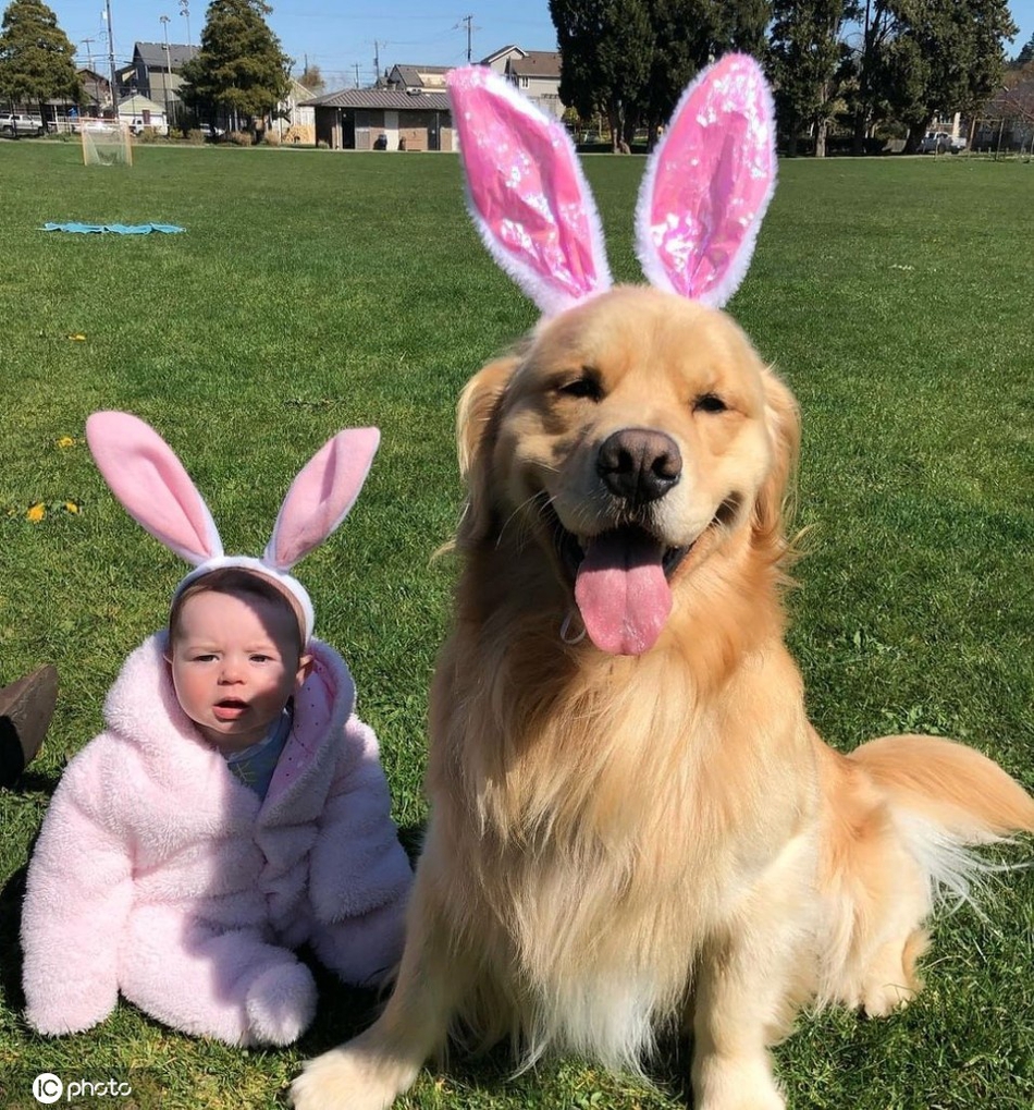 美国萌娃与宠物狗成亲密"兄妹"和谐相处相依相偎_高清图集_新浪网
