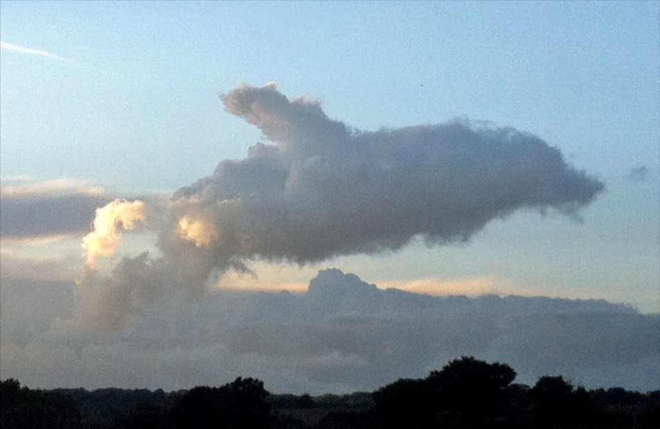 大自然的神奇画作!云朵也能变"动物"栩栩如生_高清图集_新浪网