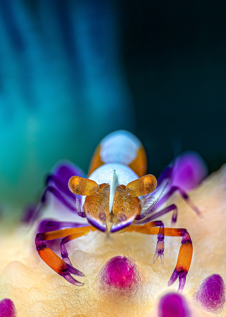 科学探索 新浪科技 新浪网