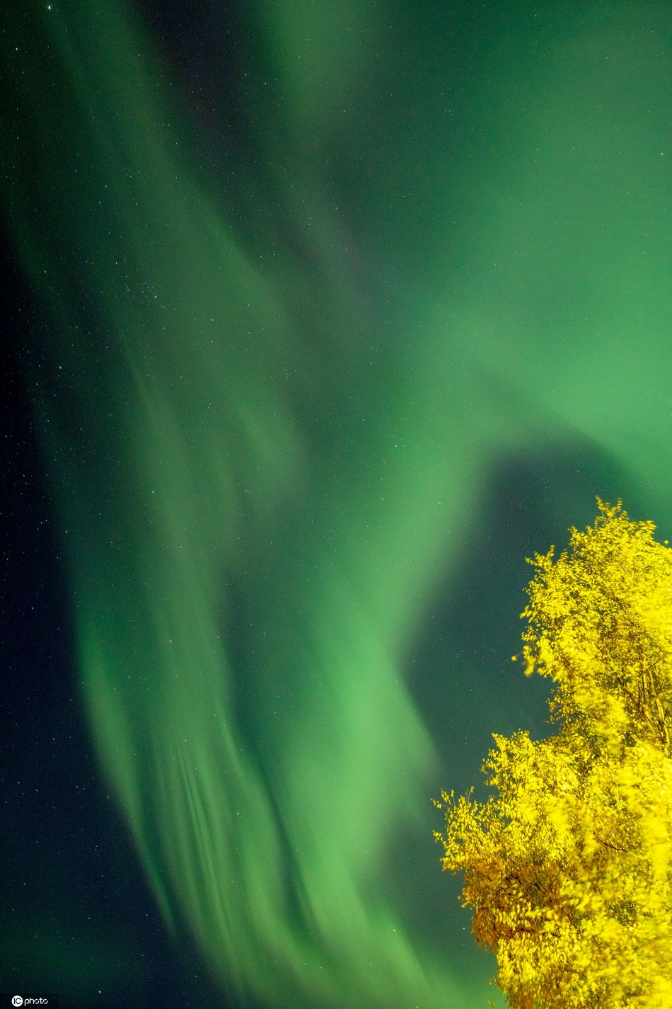 美国阿拉斯加州现绚丽北极光 绿色光芒奇幻迷人美到窒息