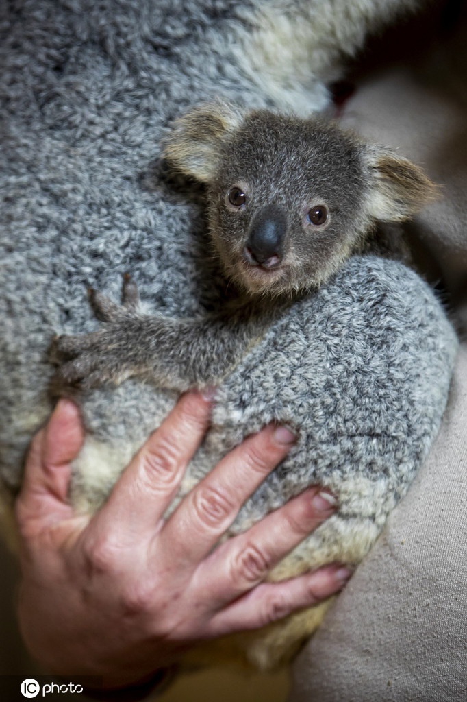 赌钱最少压现金多少