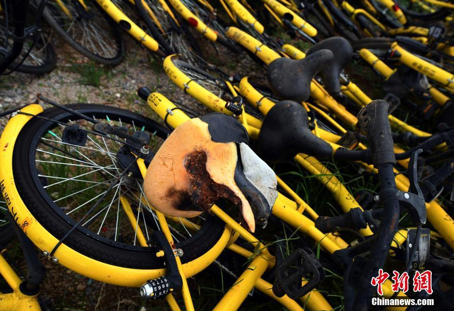 逾万共享单车被丢弃荒地 堆积如山