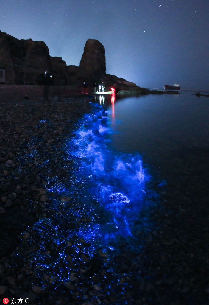 海浪拍打在岸边及礁石上泛出晶莹剔透的蓝色荧光,犹如璀璨星河,吸引了