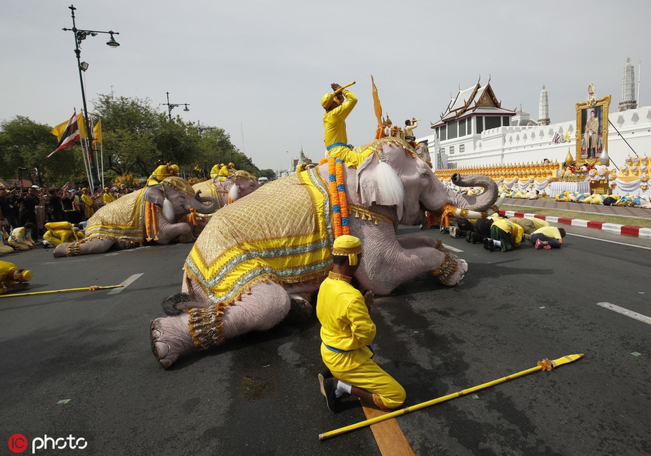 泰国曼谷,象夫骑着大象在大皇宫外致敬泰王哇集拉隆功.
