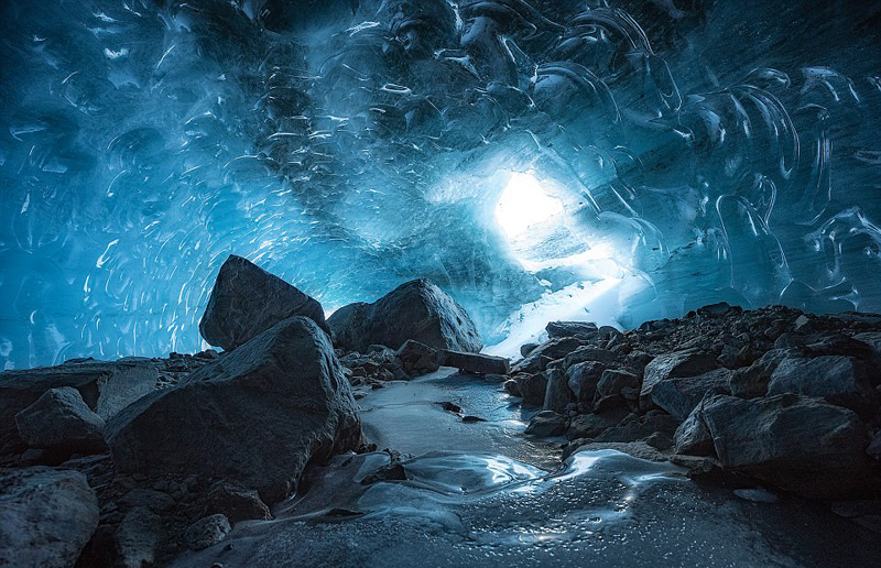 2017索尼世界摄影大赛入围作品:展现力量与雄壮的虎鲸