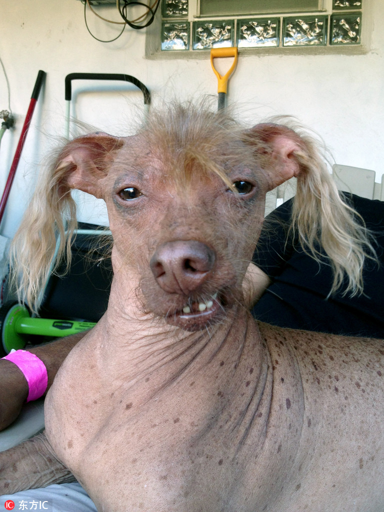 动物界的怪咖网红:就知道你们最爱宝宝与众不同