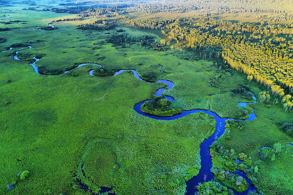 世界湿地日:让我们一起走近"地球之肾"