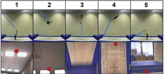 1-5依次是从起跳到落回的过程，上排为侧方摄像机记录图像（蓝线表示视线方向），下排为选手前额摄像机记录图像（红点表示注视位置）