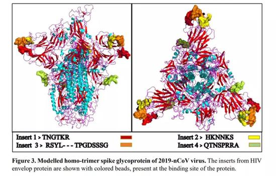 图丨新冠病毒的模拟蛋白(来源:bioRxiv)