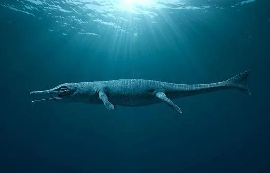 地蜥鳄（一种海洋鳄鱼）复原图