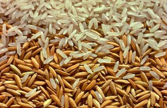 为什么杂交水稻会诞生在中国?