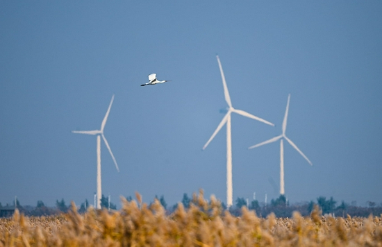 最强即目标 尼康微单旗舰Z 9评测