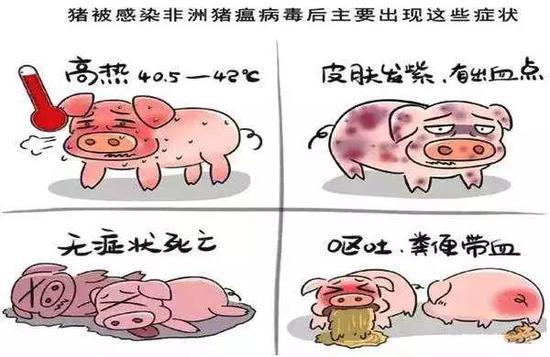 ä»€ä¹ˆæ˜¯éžæ´²çŒªç˜Ÿ å®ƒæ˜¯å¦‚ä½•ä¼ æ'­çš„å'¢ ç–«æƒ… çŒªç˜Ÿ ç—…æ¯' æ–°æµªç§'æŠ€ æ–°æµªç½'