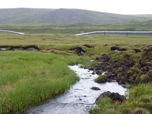 图7 阿拉斯加多年冻土区的湿润地表条件