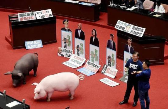 台湾开放莱猪进口，引发民众不满