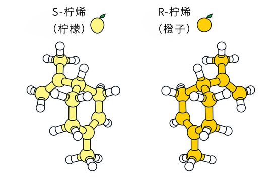 许多分子具有两种不同的变体，其中的一种是另一种的镜像，它们往往对身体有完全不同的影响。例如，一种版本的柠烯分子具有柠檬气味，而它的镜像版本闻起来则像橙子。