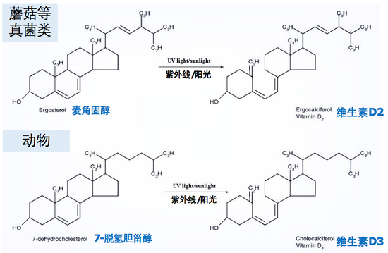 NatureWise维生素D3效果如何 吃了能改善体质吗
