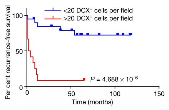 ▲&nbsp;表達雙皮質素細胞的數量與患者疾病的嚴重程度之間的關系[1]