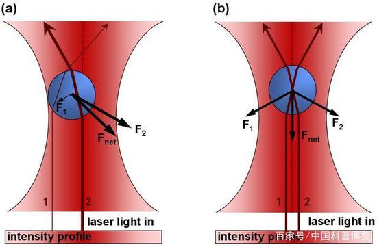 来源：公有领域 △激光汇聚在束流最细处（称为“光腰”），微粒将在此处被俘获于三维光学势阱