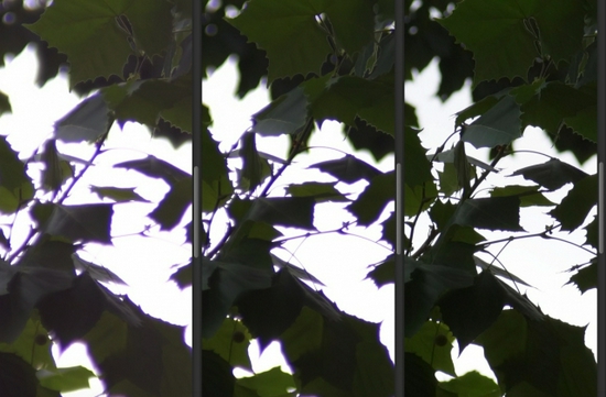 新浪科技综合|大光圈的诱惑 七工匠50mm/0.95镜头试用