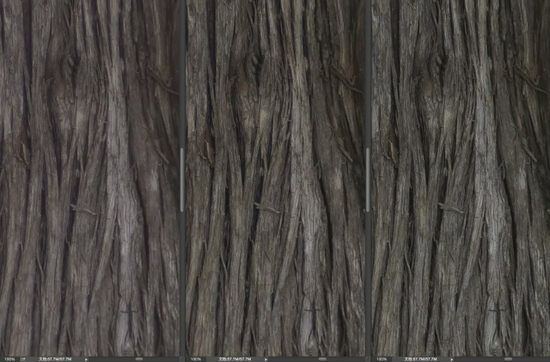 新浪科技综合|大光圈的诱惑 七工匠50mm/0.95镜头试用