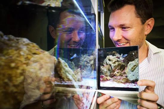Alex Jordan是德国马克斯-普朗克鸟类学研究所研究行为的演化生物学家。他受到启发，对社会性鱼类的认知极限进行了测试。由此，他对这种名为“裂唇鱼”的鱼类进行了镜子测试。图片来源：Simon Gingins
